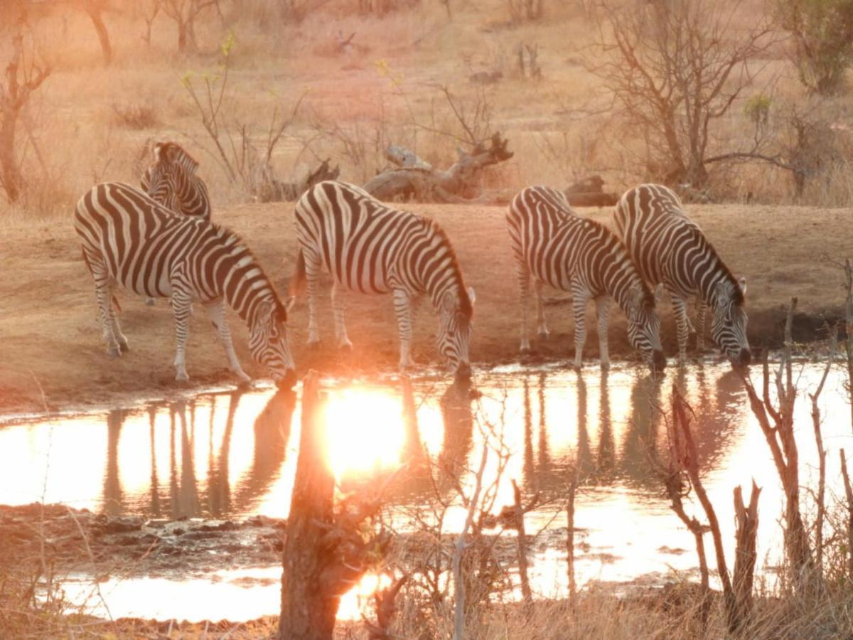 Mbabat Bongan Safari Lodge מראה חיצוני תמונה